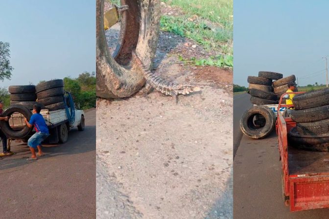 Minga 23 – Falcón – 10.000 Kilos